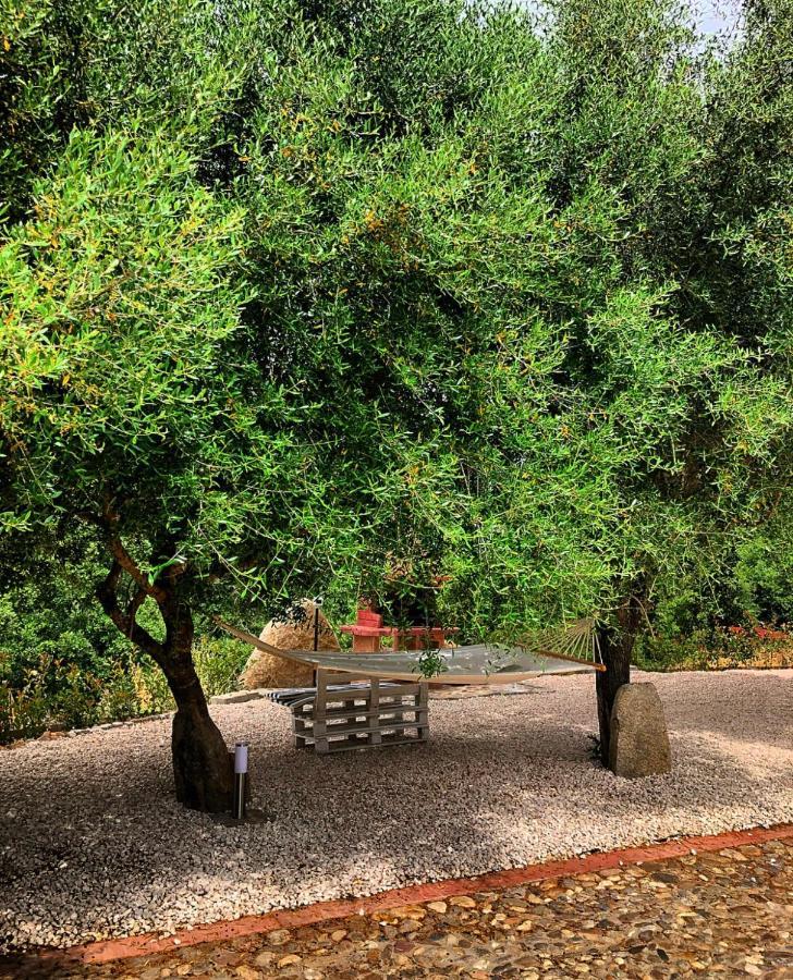 Casa Vacanza Centro Sardegna Sorgono Εξωτερικό φωτογραφία