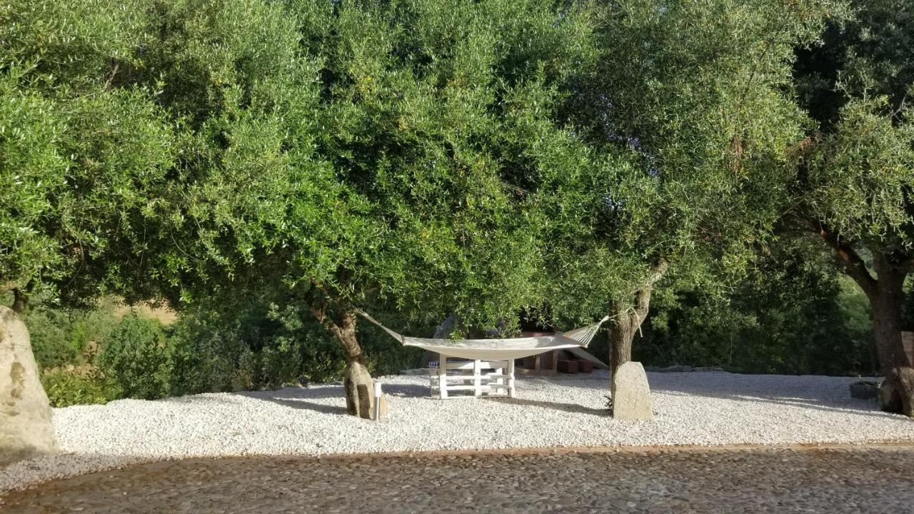 Casa Vacanza Centro Sardegna Sorgono Εξωτερικό φωτογραφία