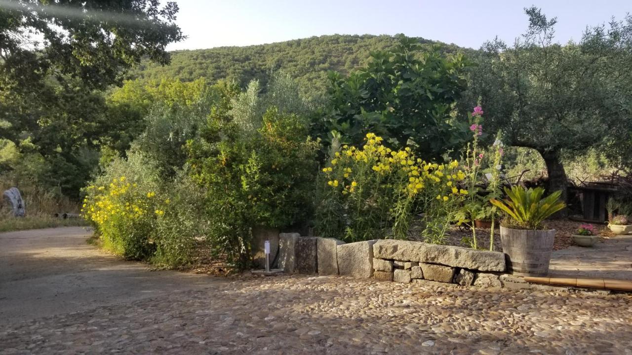 Casa Vacanza Centro Sardegna Sorgono Εξωτερικό φωτογραφία